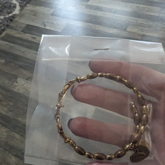 Alex & Ani - Vintage Sixy-Six Energy Copper Bracelet (Unisex) - Picture 10 of 11